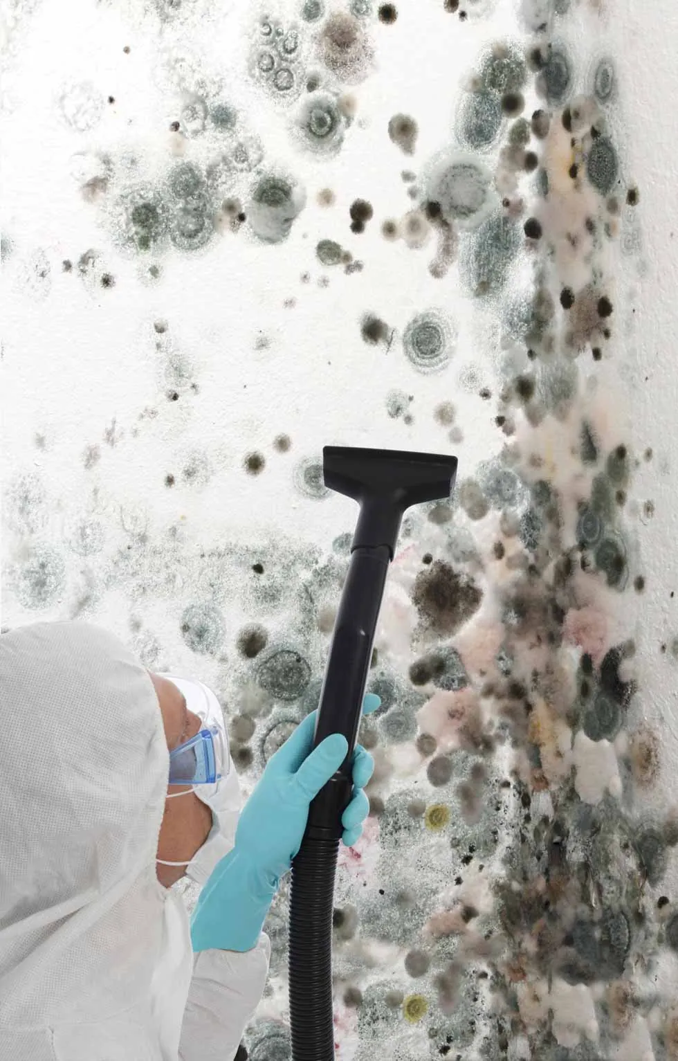 Mold Removal in Cheshire by JP Maguire Associates in Connecticut