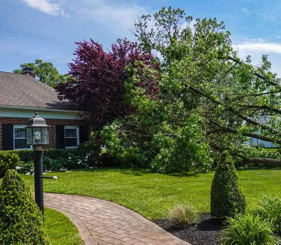 Storm Damage Repair in Middletown by JP Maguire Associates in Connecticut